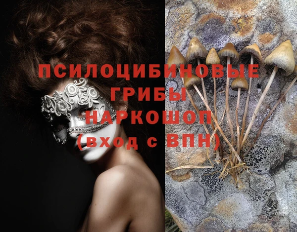 скорость Алзамай