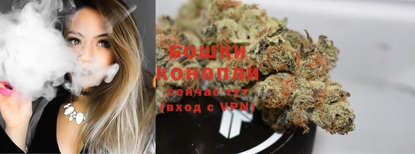 винт Снежногорск