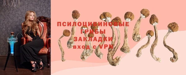 MESCALINE Снежинск