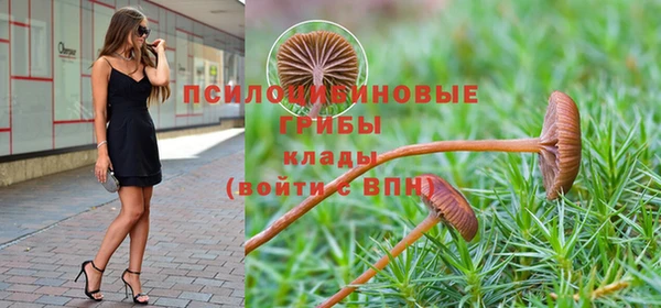мескалин Абаза