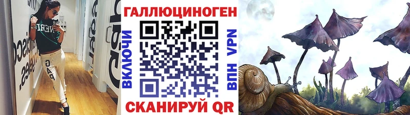 Галлюциногенные грибы Psilocybe  Котлас 