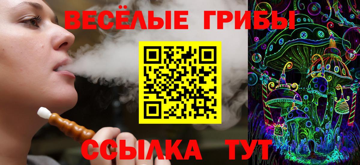 Псилоцибиновые грибы Cubensis Котлас
