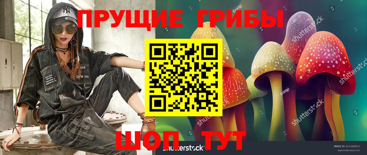 Галлюциногенные грибы Psilocybe  Вход с VPN  Псилоцибиновые грибы Magic Shrooms  Котлас 
